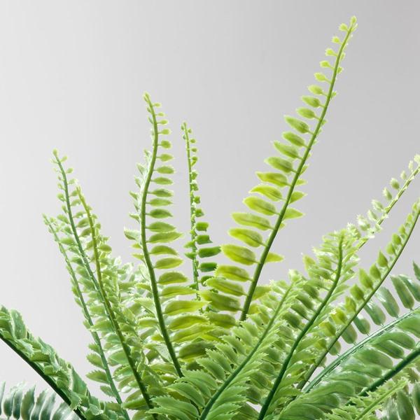 [IKEA/イケア/通販]FEJKA フェイカ人工観葉植物, 室内/屋外用 アビス,9 cm[D](20615253) |  | 04