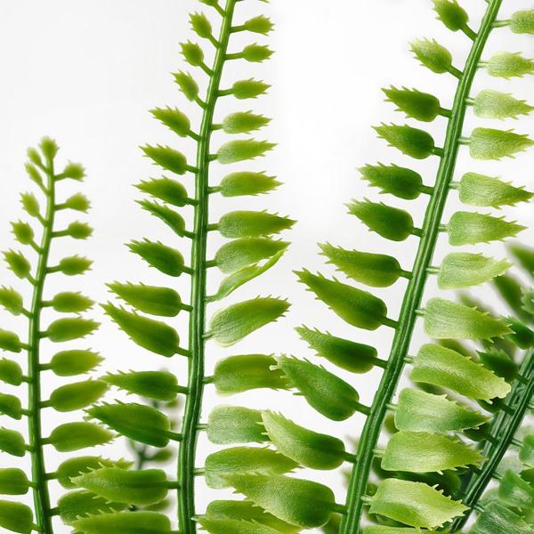 [IKEA/イケア/通販]FEJKA フェイカ人工観葉植物, 室内/屋外用 アビス,9 cm[D](20615253) |  | 05