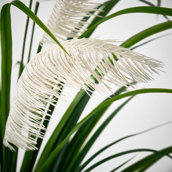[IKEA/イケア/通販]FEJKA フェイカ人工観葉植物, 室内/屋外用/グラス,17 cm[E](20626398) |  | 03