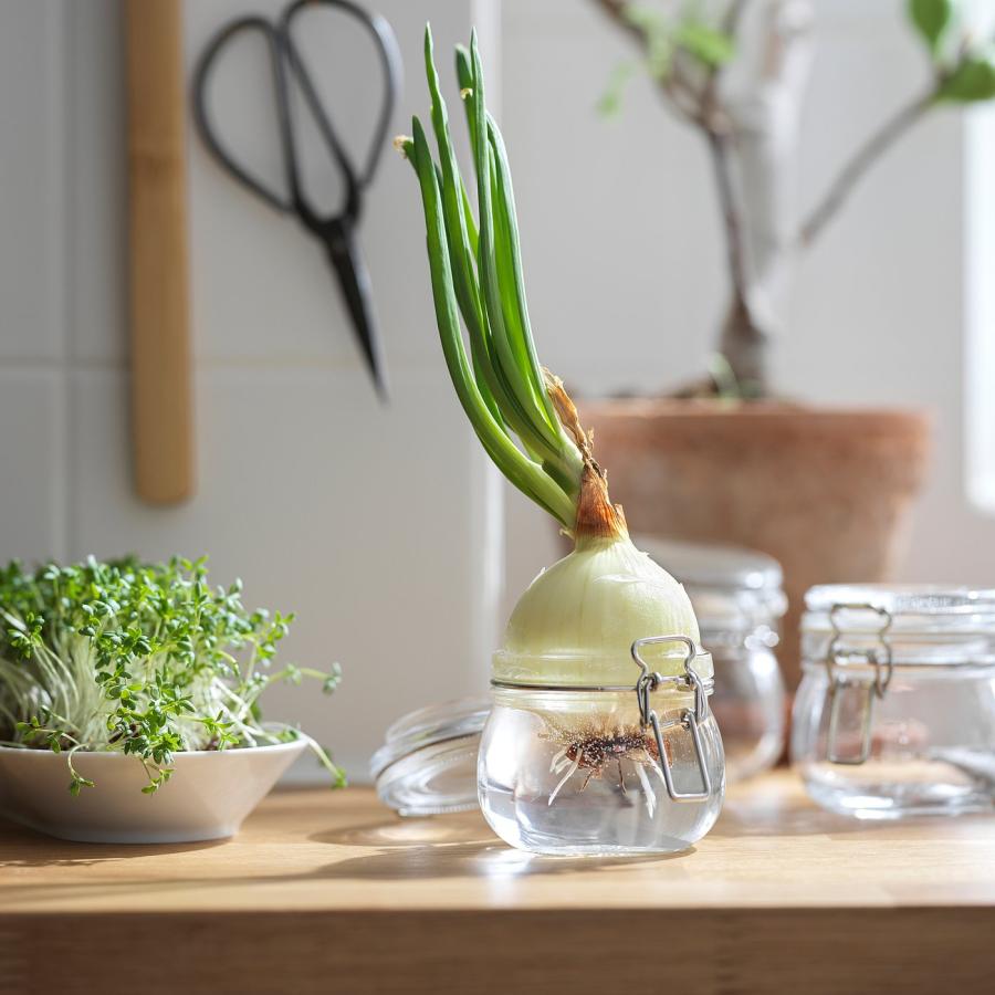 [IKEA/イケア/通販]KORKEN コルケン ふた付き容器, クリアガラス, 0.5 l[A](00213544) |  | 04