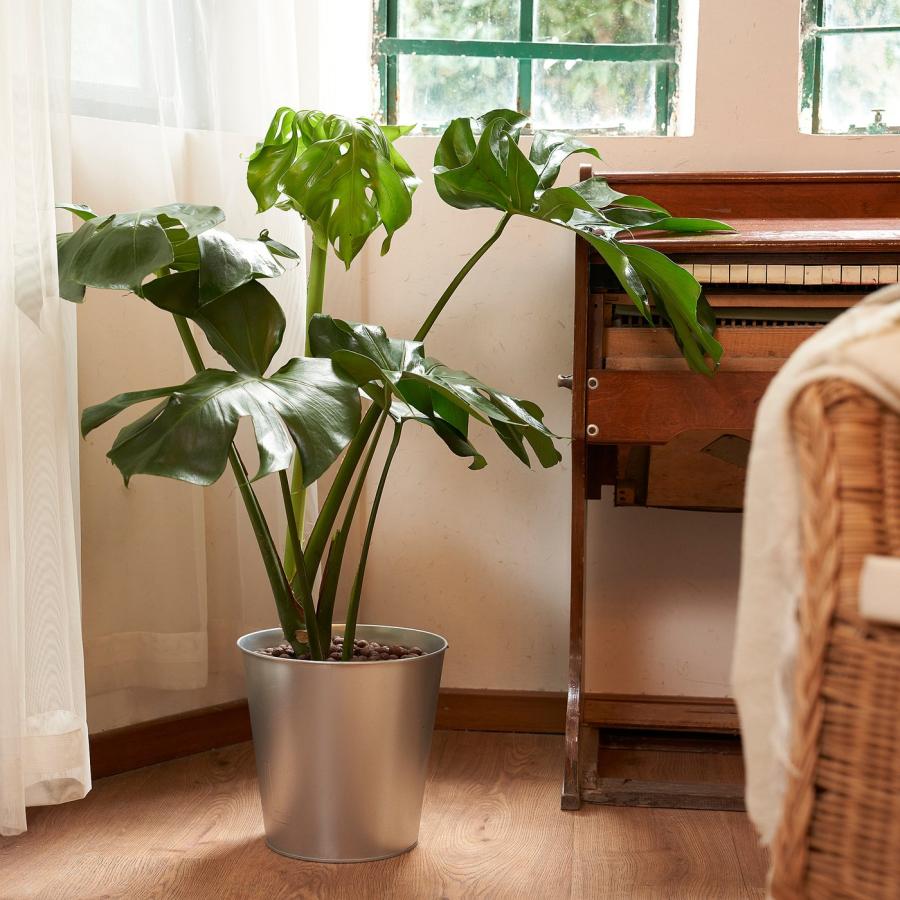 [IKEA/イケア/通販]AKERBAR オーケルベール 鉢カバー, 室内/屋外用/亜鉛メッキ, 24 cm[C](30497701) |  | 01