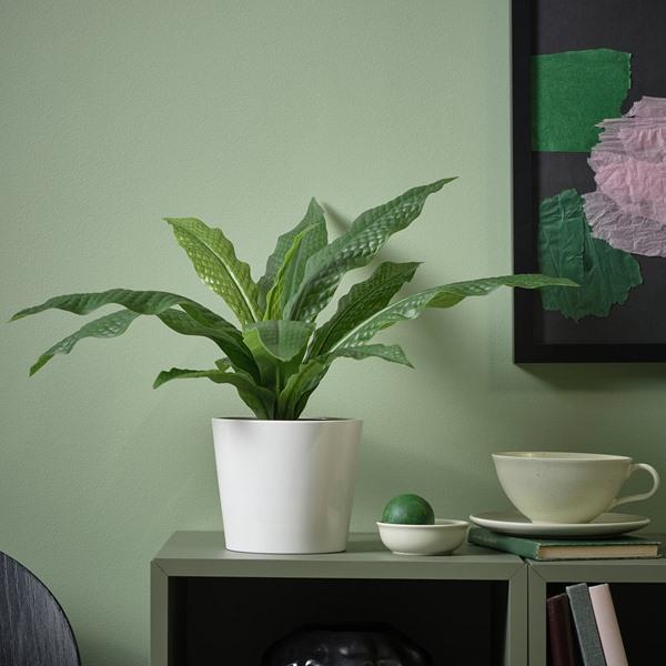 [IKEA/イケア/通販]FEJKA フェイカ人工観葉植物, 室内/屋外用 クロコダイルファーン,12 cm[B](30600883) |  | 01