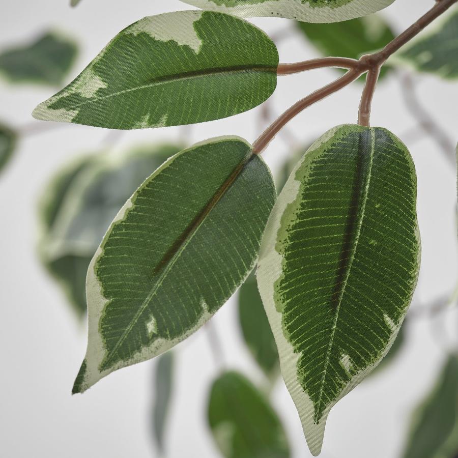 [IKEA/イケア/通販]FEJKA フェイカ 人工観葉植物, 室内/屋外用/ベンジャミン, 23 cm[D](30610599) |  | 03