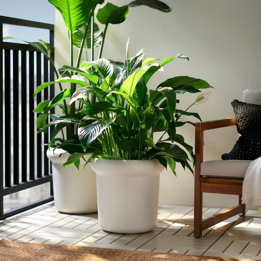 [IKEA/イケア/通販]MABARSBUSKE モーベルスブスケ 植木鉢, 屋外用/オフホワイト, 32 cm[D](30612466) |  | 01