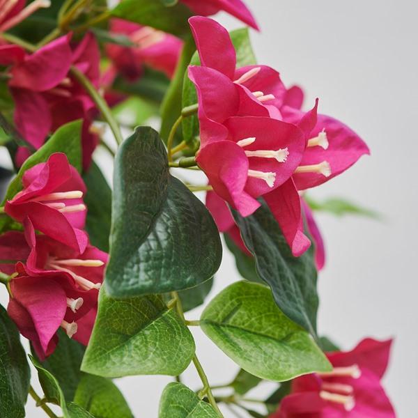 [IKEA/イケア/通販]FEJKA フェイカ人工観葉植物, 室内/屋外用/ブーゲンビリア ピンク,12 cm[D](30617765) |  | 01