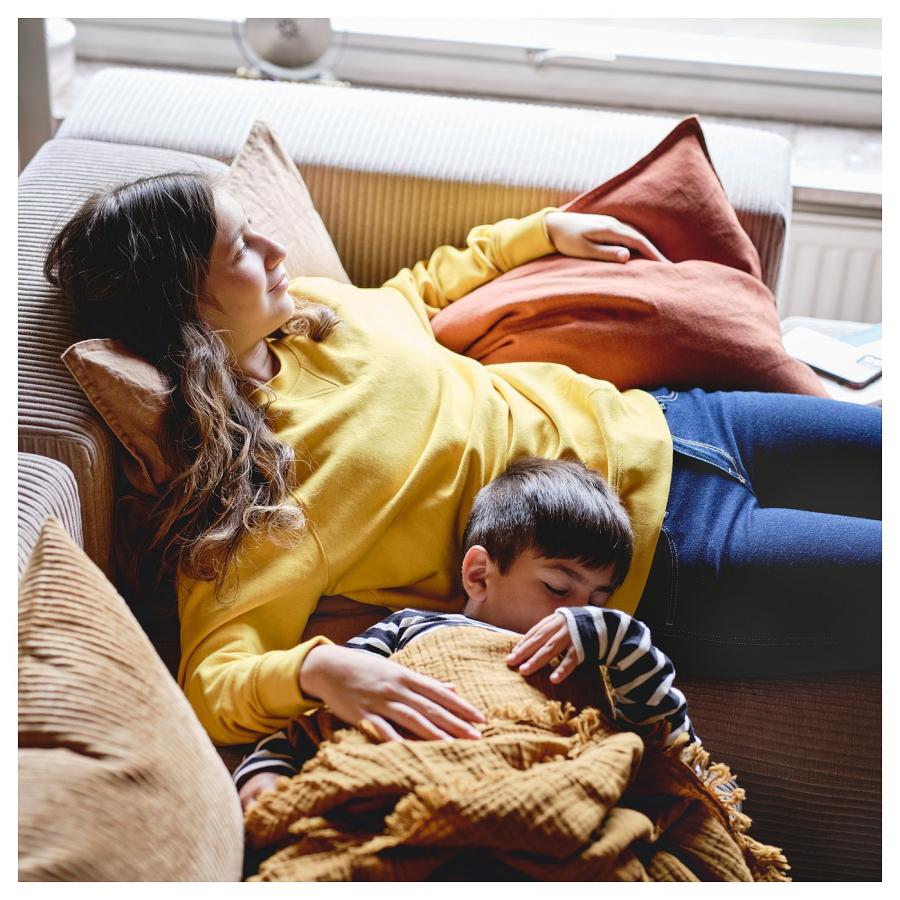 IKEA/イケア/通販]JATTEBO イェッテボ 2.5人掛けモジュールソファ 寝