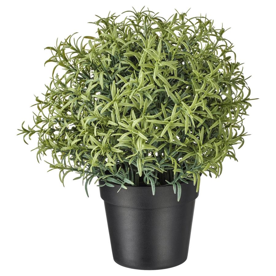 [IKEA/イケア/通販]FEJKA フェイカ 人工観葉植物, ローズマリー, 9 cm[B](40382115) | 