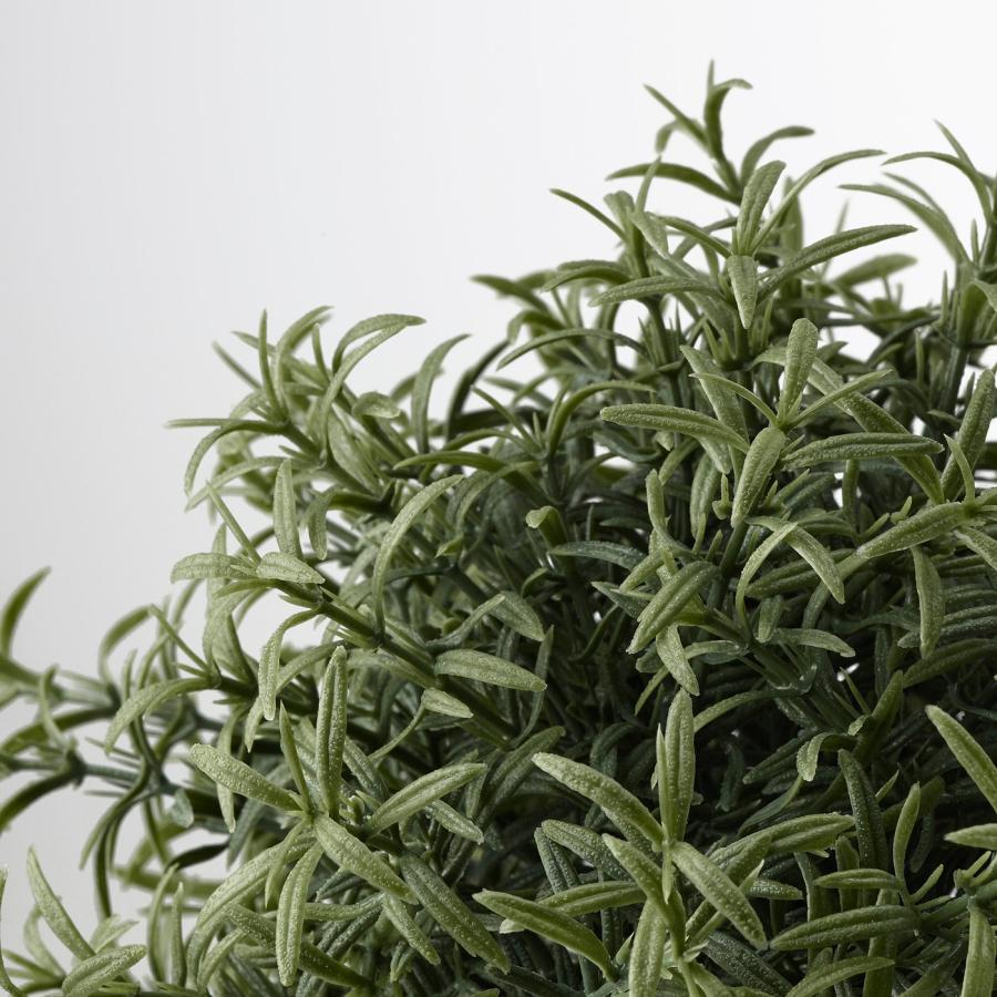 [IKEA/イケア/通販]FEJKA フェイカ 人工観葉植物, ローズマリー, 9 cm[B](40382115) |  | 02