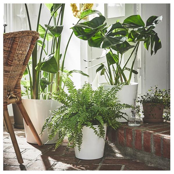 [IKEA/イケア/通販]SOJABONA ソイヤボナ鉢カバー, ホワイト,19 cm[B](40533591) |  | 01