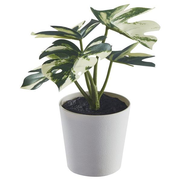 [IKEA/イケア/通販]FEJKA フェイカ人工観葉植物 鉢カバー付き, 室内/屋外用 モンステラ,6 cm[A](40593207) | 