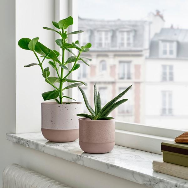 [IKEA/イケア/通販]BUSKKAPRIFOL ブスクカプリフォール鉢カバー, 室内/屋外用/グレー,9 cm[A](40595895) |  | 01