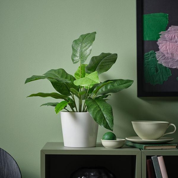 [IKEA/イケア/通販]FEJKA フェイカ人工観葉植物, 室内/屋外用 カラテア,12 cm[B](40600887) |  | 01
