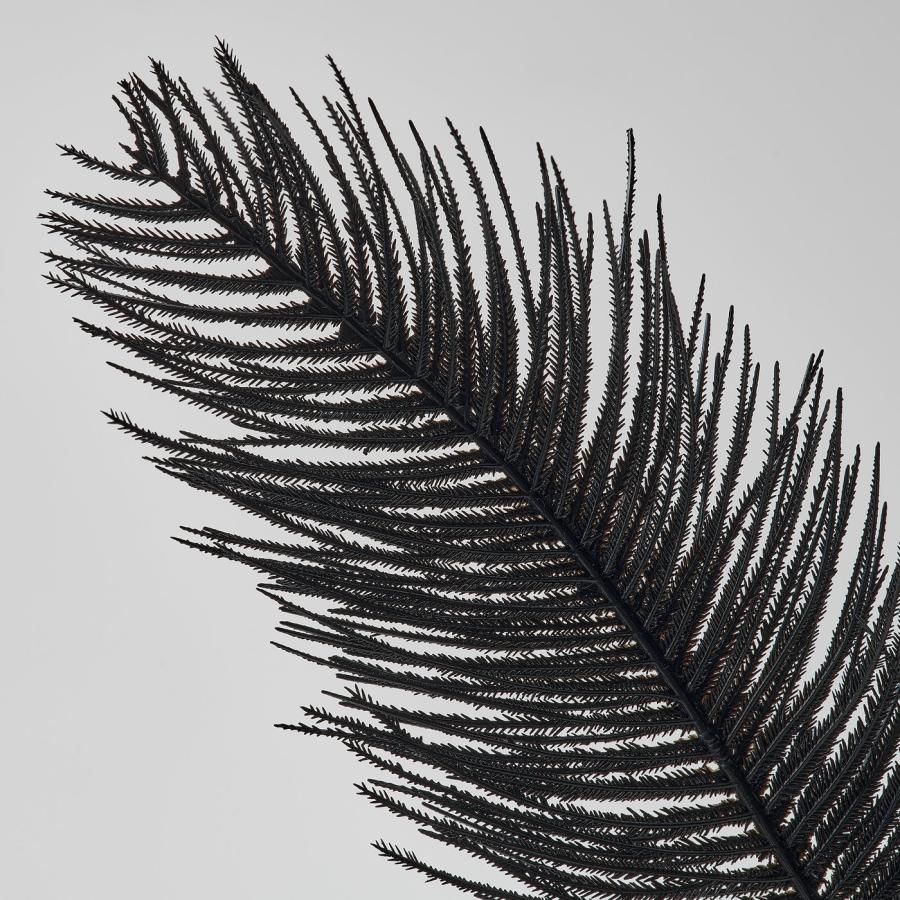 [IKEA/イケア/通販]SMYCKA スミッカ 造花 スプレー, 室内/屋外用/ブラック, 65 cm[D](40614224) |  | 02