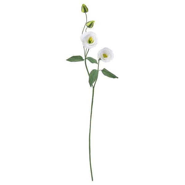 [IKEA/イケア/通販]GULDSPETT グルドスペット造花, 紙/トルコギキョウ ホワイト,55 cm[B](40614945) | 