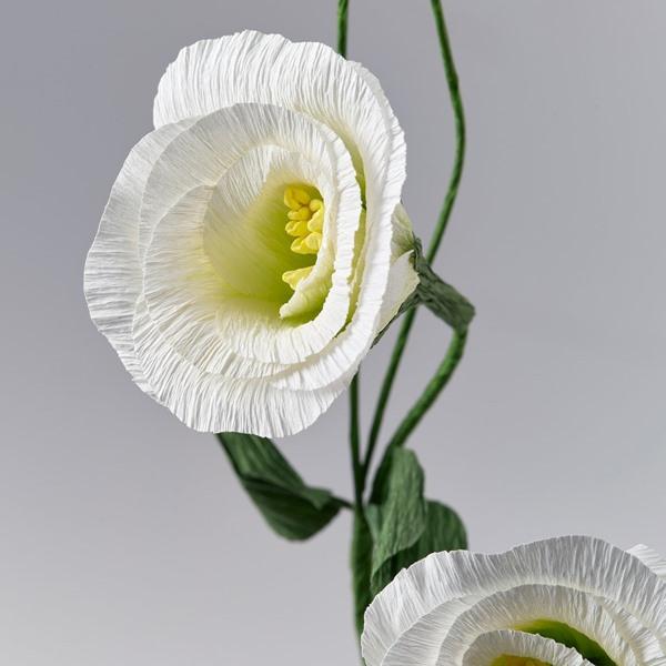 [IKEA/イケア/通販]GULDSPETT グルドスペット造花, 紙/トルコギキョウ ホワイト,55 cm[B](40614945) |  | 03