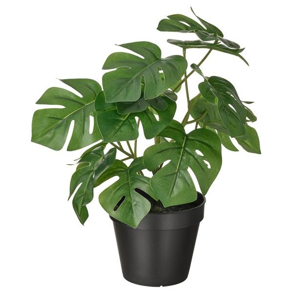 [IKEA/イケア/通販]FEJKA フェイカ人工観葉植物, 室内/屋外用 モンステラ,12 cm[C](40615233) | 