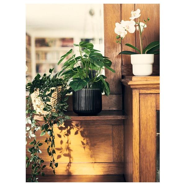 [IKEA/イケア/通販]FEJKA フェイカ人工観葉植物, 室内/屋外用 モンステラ,12 cm[C](40615233) |  | 02
