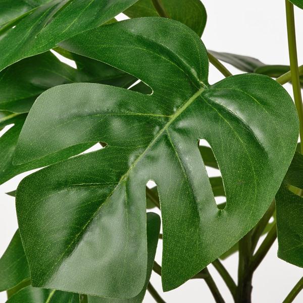 [IKEA/イケア/通販]FEJKA フェイカ人工観葉植物, 室内/屋外用 モンステラ,12 cm[C](40615233) |  | 03