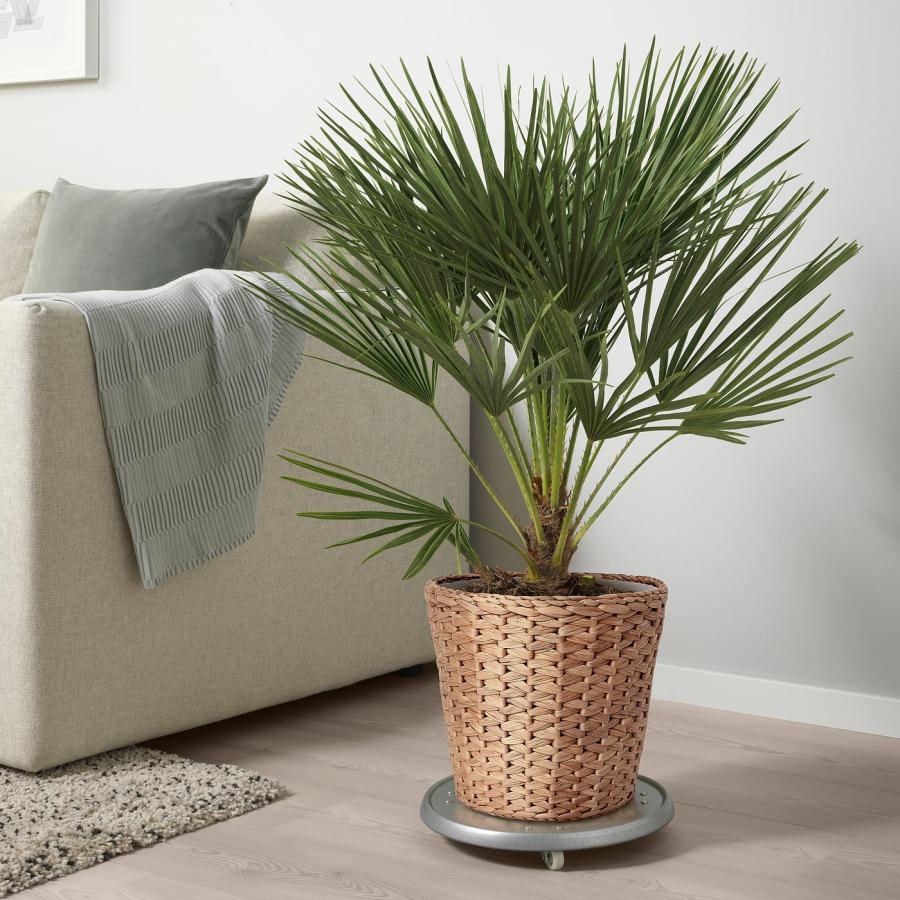 [IKEA/イケア/通販]FRIDFULL フリードフル 鉢カバー, ホテイアオイ, 24 cm[C](50513413) |  | 01