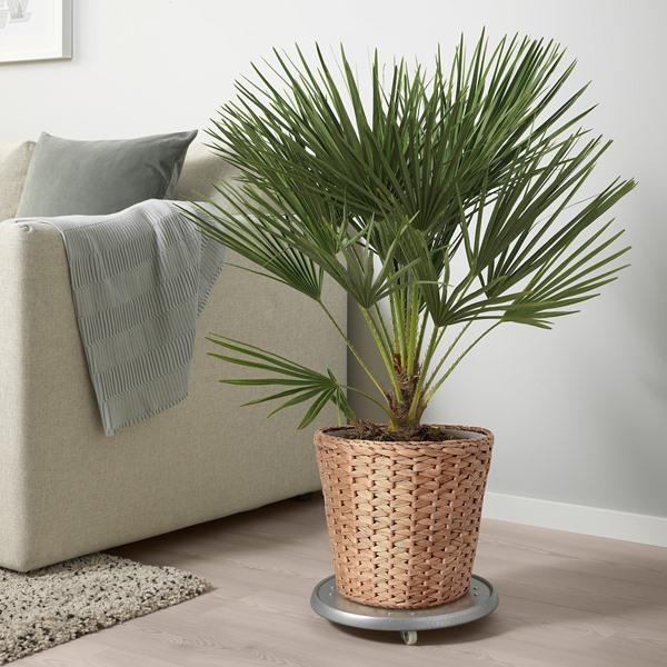 [IKEA/イケア/通販]FRIDFULL フリードフル 鉢カバー, ホテイアオイ, 24 cm[C](50513413) |  | 03