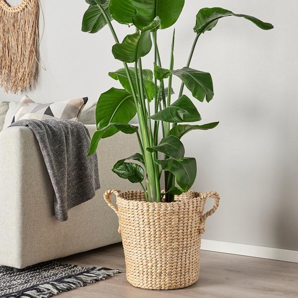 [IKEA/イケア/通販]TORNBAR トルンベール鉢カバー, バナナ繊維 ハンドメイド,32 cm[D](50524708) |  | 02