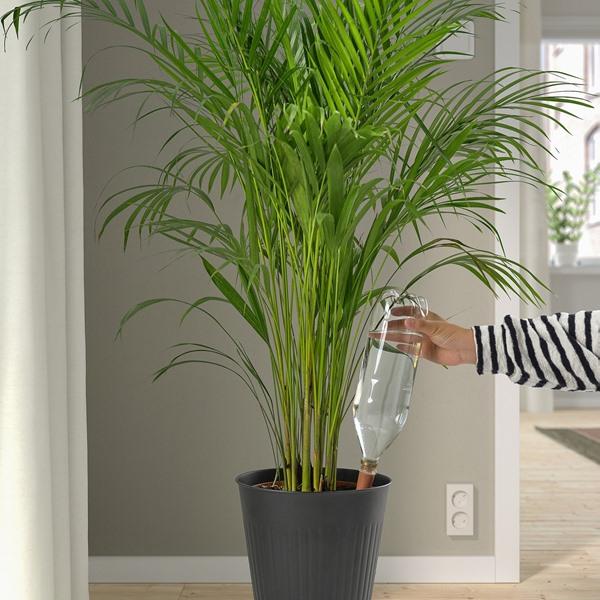 [IKEA/イケア/通販]SVAMSKOG スヴェムスコグ自動水やり器, テラコッタ/透明,70 cl[A](570873) |  | 03