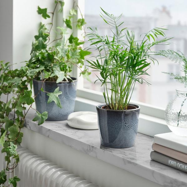 [IKEA/イケア/通販]FJARILSBUSKE フィヤーリルスブスケ鉢カバー, 室内/屋外用/ブルー,12 cm[A](586685) |  | 02
