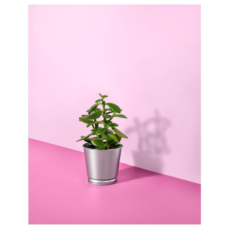 [IKEA/イケア/通販]BINTJE ビンチェ 鉢カバー, 亜鉛メッキ, 9 cm[A](60334128) |  | 06