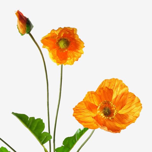 [IKEA/イケア/通販]SMYCKA スミッカ造花, 室内/屋外用/Poppy オレンジ,60 cm[D](60476071) |  | 02