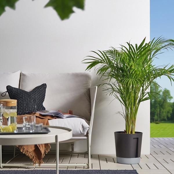 [IKEA/イケア/通販]VARDTRAD ヴォルドトレド自動水やり機能付き植木鉢, 室内/屋外用 透明/チャコール,24 cm[BC](60570870) |  | 04