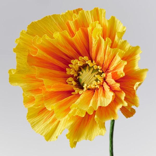 [IKEA/イケア/通販]GULDSPETT グルドスペット造花, 紙/Poppy オレンジ,40 cm[A](60614949) |  | 02