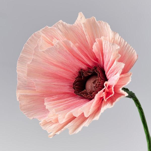 [IKEA/イケア/通販]GULDSPETT グルドスペット造花, 紙/Poppy ピンク,40 cm[A](60614973) |  | 03