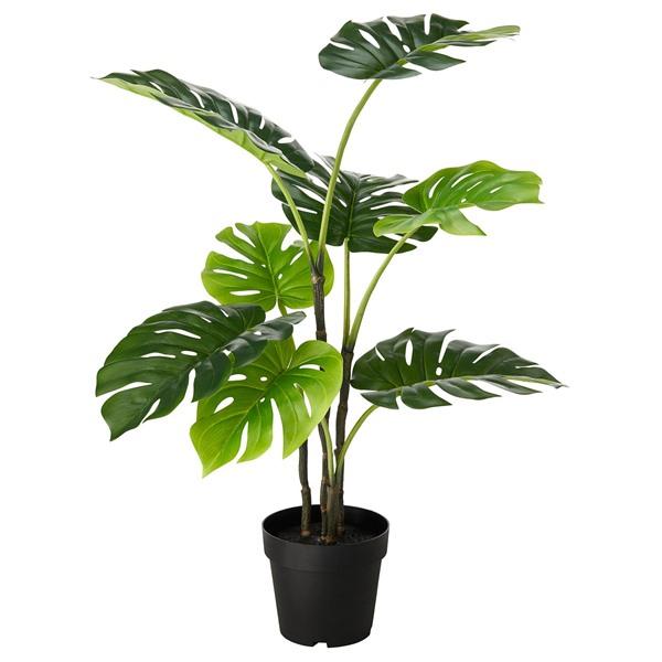 [IKEA/イケア/通販]FEJKA フェイカ人工観葉植物, 室内/屋外用 モンステラ,19 cm[J](60615246) | 