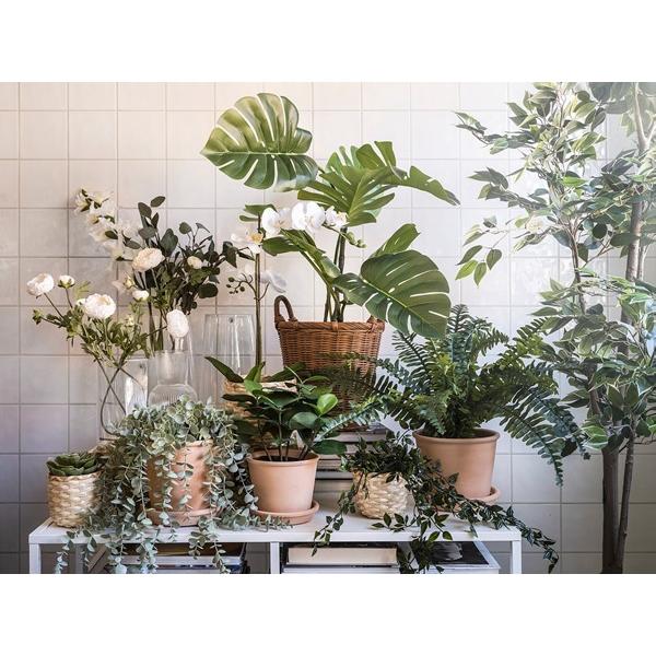 [IKEA/イケア/通販]FEJKA フェイカ人工観葉植物, 室内/屋外用 モンステラ,19 cm[J](60615246) |  | 04