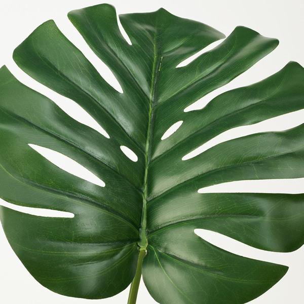 [IKEA/イケア/通販]FEJKA フェイカ人工観葉植物, 室内/屋外用 モンステラ,19 cm[J](60615246) |  | 05