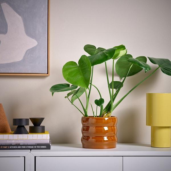 [IKEA/イケア/通販]HASSELBUKETT ハッセルブケット鉢カバー, 室内/屋外用/ブラウンイエロー,12 cm[A](60621822) |  | 02