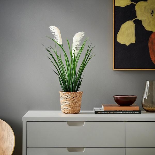[IKEA/イケア/通販]FEJKA フェイカ人工観葉植物, 室内/屋外用/グラス,12 cm[C](60626396) |  | 01
