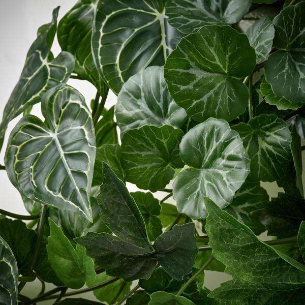 [IKEA/イケア/通販]FEJKA フェイカ人工植物3点セット, ウォールホルダー付き/室内/屋外用 グリーン[D](60630157) |  | 03