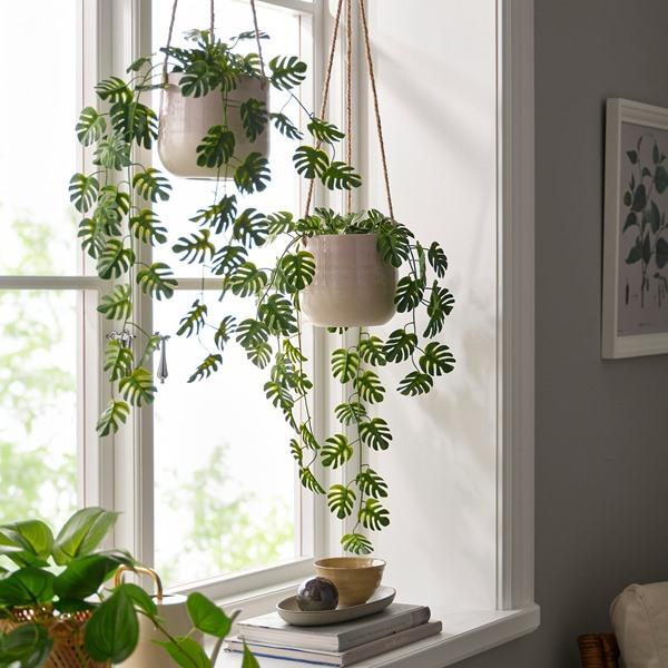 [IKEA/イケア/通販]FEJKA フェイカ人工観葉植物, 室内/屋外用 つり下げ型/モンステラ,9 cm[C](608404) |  | 01