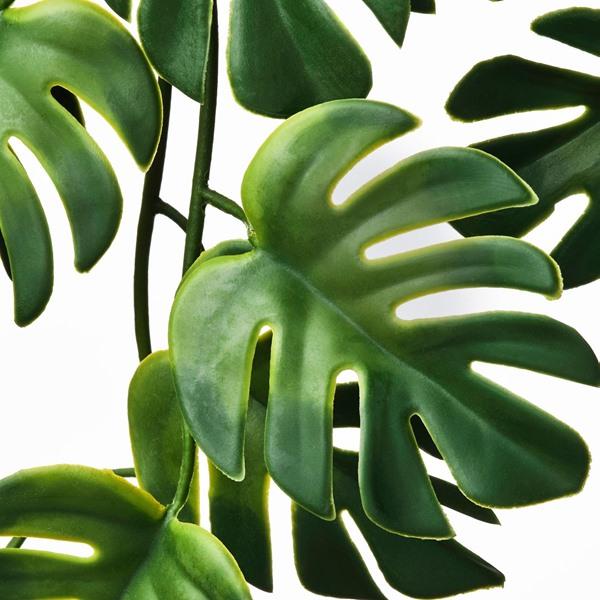 [IKEA/イケア/通販]FEJKA フェイカ人工観葉植物, 室内/屋外用 つり下げ型/モンステラ,9 cm[C](608404) |  | 03