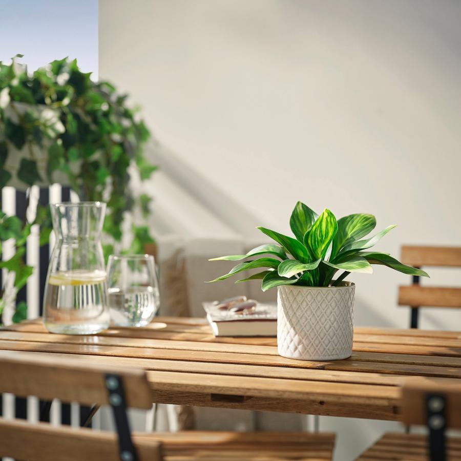 [IKEA/イケア/通販]FEJKA フェイカ 人工観葉植物, 室内/屋外用/ギボウシ, 9 cm[C](00610746) |  | 01