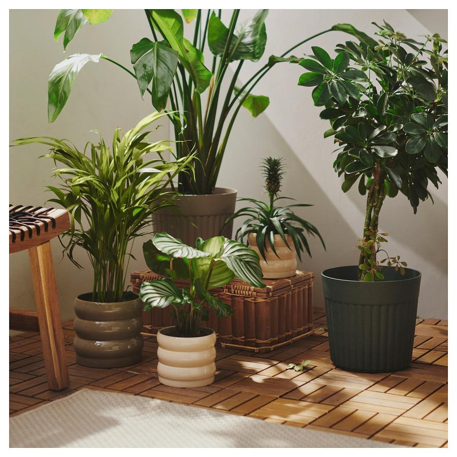 [IKEA/イケア/通販]FRAKENVAXT フレーケンヴェクスト 鉢カバー, 室内/屋外用/ディープグリーン, 24 cm[C](00610874) |  | 05