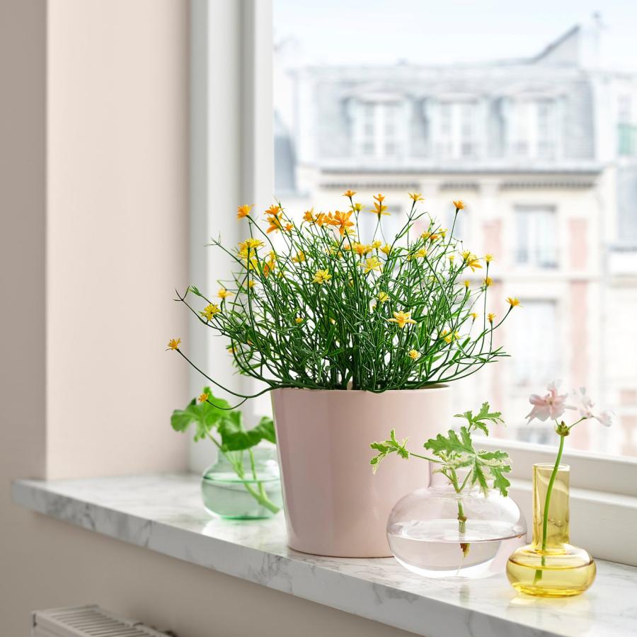 [IKEA/イケア/通販]FEJKA フェイカ 人工観葉植物, 室内/屋外用 イエロー, 9 cm[A](00613354) |  | 02