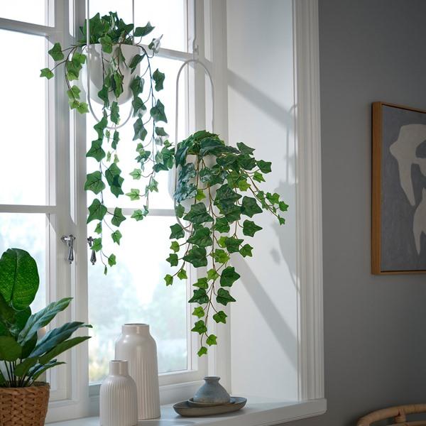 [IKEA/イケア/通販]FEJKA フェイカ人工観葉植物, 室内/屋外用/つり下げ型 ヘデラ,12 cm[D](615230) |  | 01