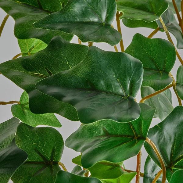 [IKEA/イケア/通販]FEJKA フェイカ人工観葉植物, 室内/屋外用/つり下げ型 ヘデラ,12 cm[D](615230) |  | 02
