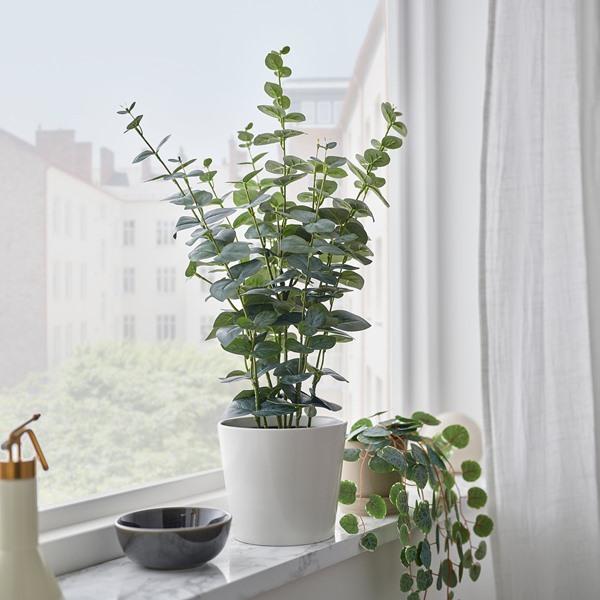 [IKEA/イケア/通販]FEJKA フェイカ人工観葉植物, 室内/屋外用 ユーカリ,15 cm[D](615273) |  | 01