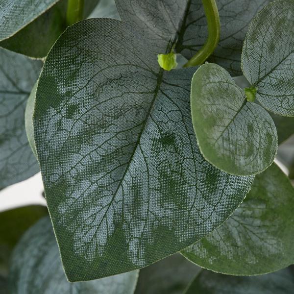 [IKEA/イケア/通販]FEJKA フェイカ人工観葉植物, 室内/屋外用 ユーカリ,15 cm[D](615273) |  | 02