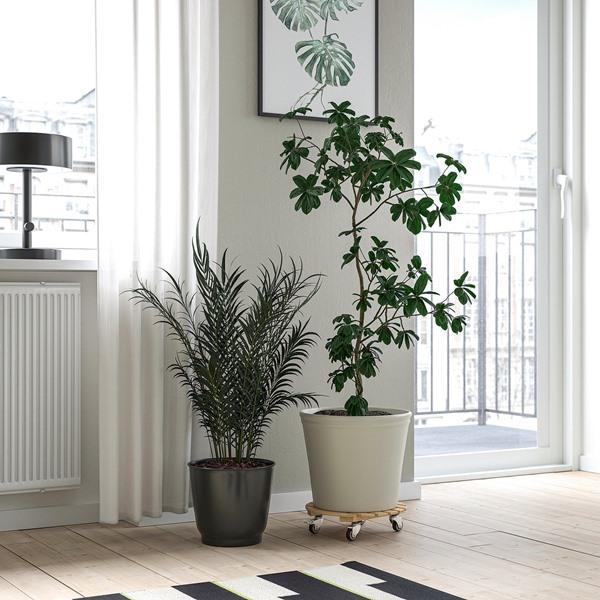[IKEA/イケア/通販]DAKSJUS ダクシュースプラントムーバー, 竹,28 cm[B](624357) | 
