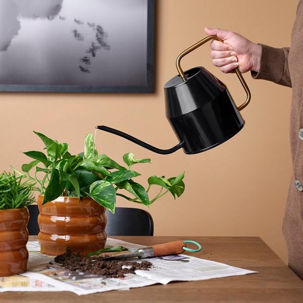 [IKEA/イケア/通販]VATTENKRASSE ヴァッテンクラッセじょうろ, ブラック/ゴールドカラー,2.0 l[B](626752) |  | 02