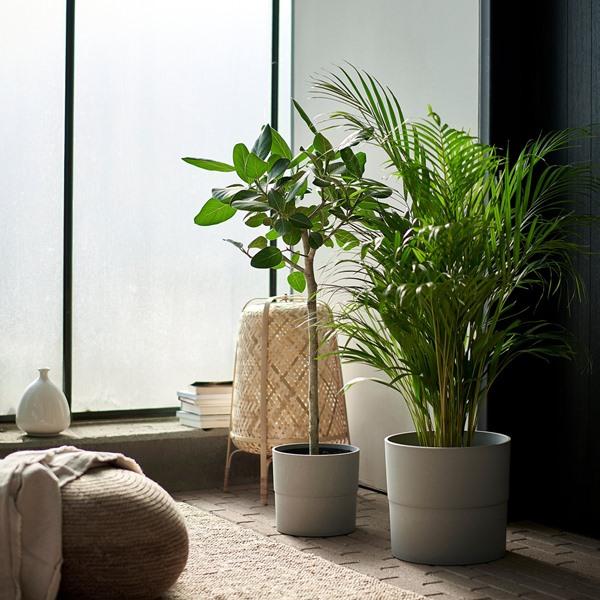 [IKEA/イケア/通販]NYPON ニーポン鉢カバー, 室内/屋外用 グレー,24 cm[C](70395625) |  | 02